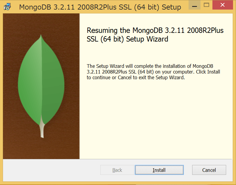 a screenshot of the MongoDB installation window